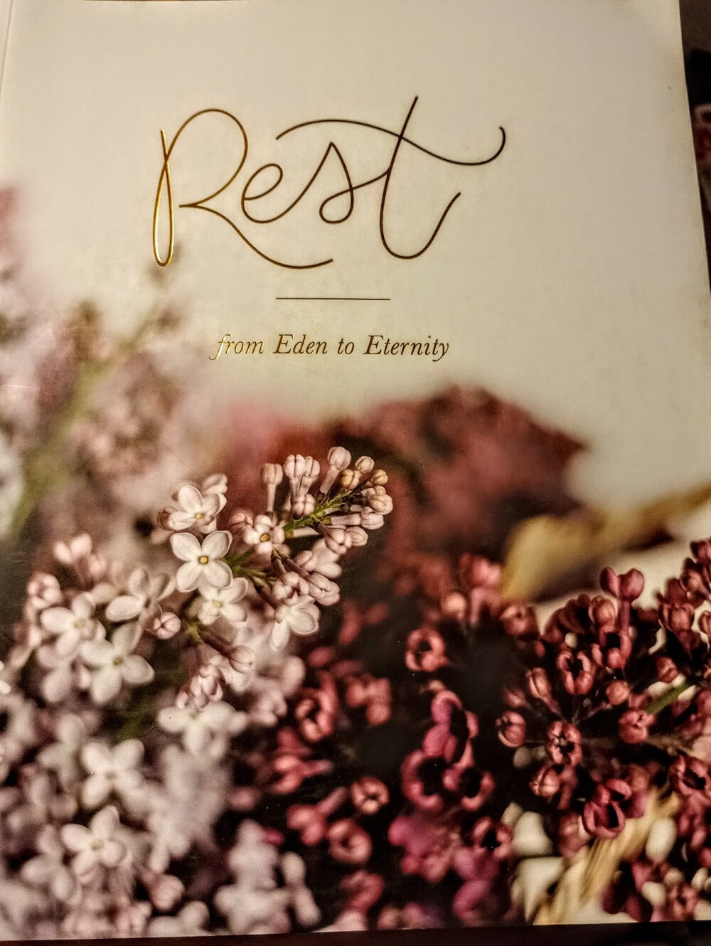 BIBLE STUDY BOOK "REST" FROM EDEN TO ETERNITY BY THE DAILY GRACE CO